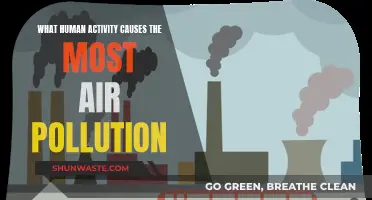 Human Activities: Major Air Polluters
