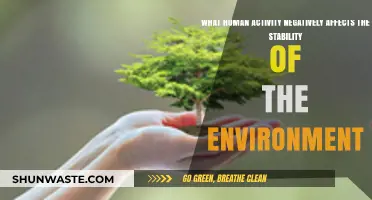 Human Actions Threatening Environmental Stability: Urgent Issues to Address