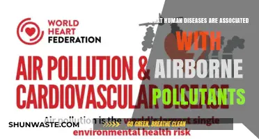 Airborne Pollutants: What Diseases Do They Cause?
