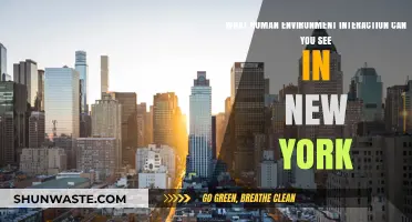 Urban Dynamics: Exploring Human-Environment Interactions in New York City