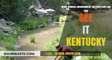 Exploring Kentucky's Unique Human-Environment Interactions and Their Impact