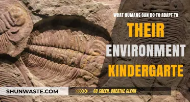 Kindergarten Eco-Adventures: Teaching Kids to Thrive in Their Environment