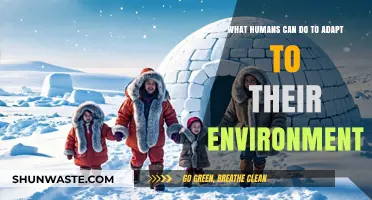 Adapting to Survive: Human Strategies for Environmental Harmony