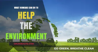 Sustainable Steps: How Humans Can Protect and Restore Our Environment