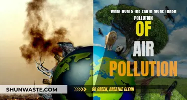 Trash vs Air Pollution: What's the Real Damage?