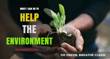 Sustainable Steps: Simple Actions to Protect and Preserve Our Planet
