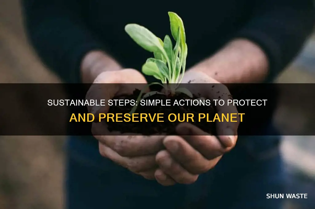 what i can do to help the environment