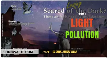 Light Pollution: Its Impact and Solutions