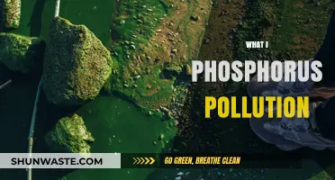 Phosphorus Pollution: A Growing Environmental Concern