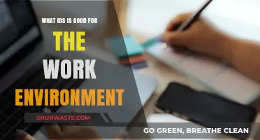 Boosting Productivity: Ideal Work Environment IDs for Employee Success