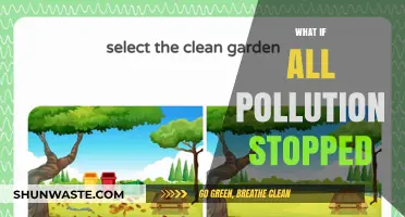 A World Without Pollution: Nature's Revival