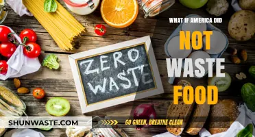 Sustainable Bounty: Rethinking America's Approach to Food Waste
