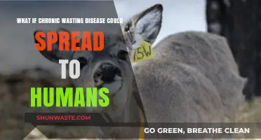 Could Chronic Wasting Disease Jump to Humans? A Looming Threat