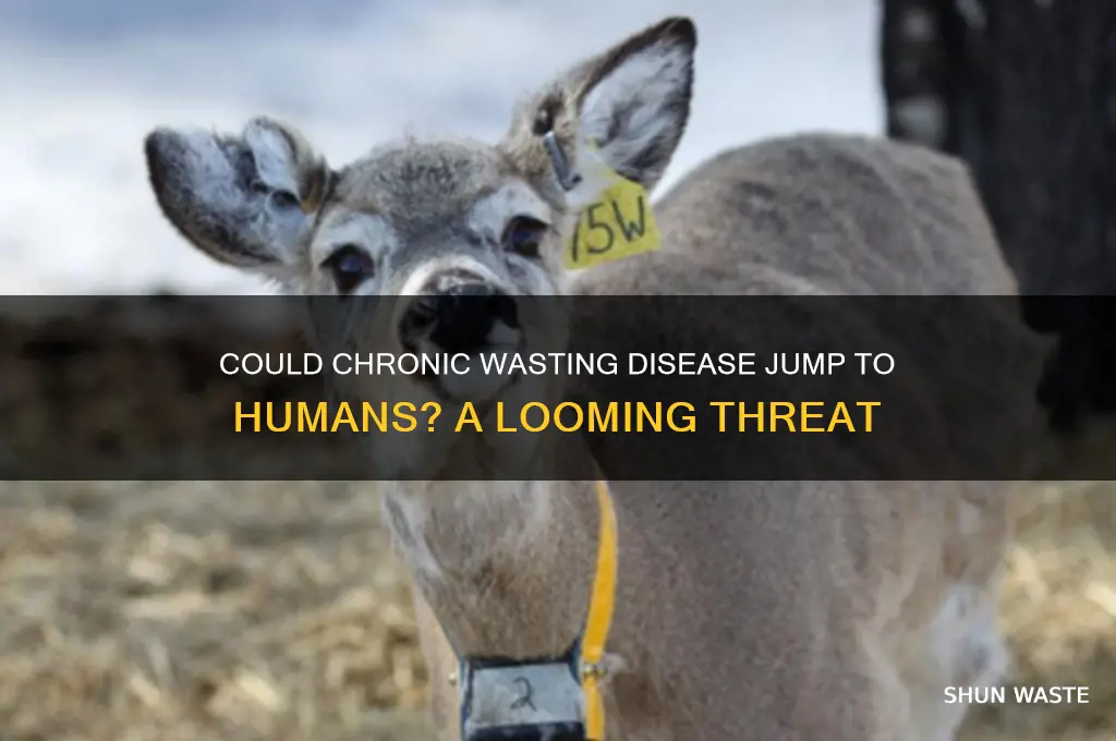 what if chronic wasting disease could spread to humans