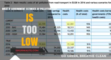 Pollution Cost: What If Governments Are Underestimating?