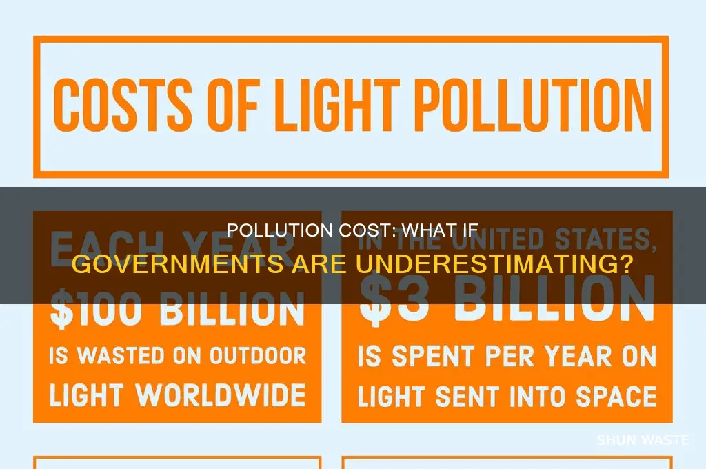 what if government estimate of pollution cost is too low