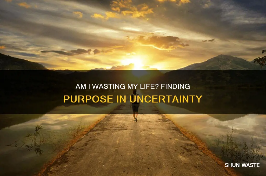 what if i am wasting my life