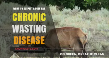 Suspecting Chronic Wasting Disease in Deer: What You Need to Know