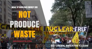 A Waste-Free Nuclear Future: Unlocking Clean Energy's Ultimate Potential