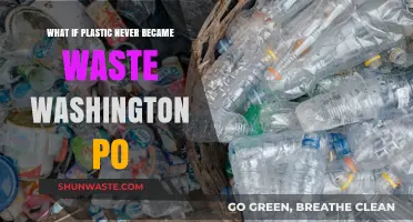 What If Plastic Never Became Waste? Washington Post Explores