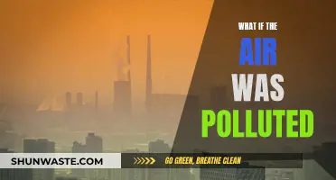 The Air We Breathe: A World Polluted