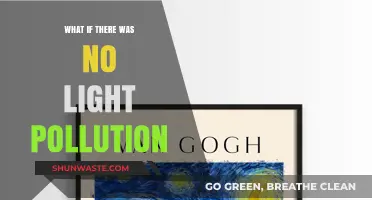 Imagine a World Without Light Pollution