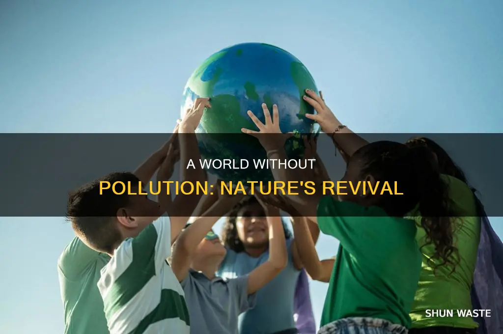 what if there was no pollution