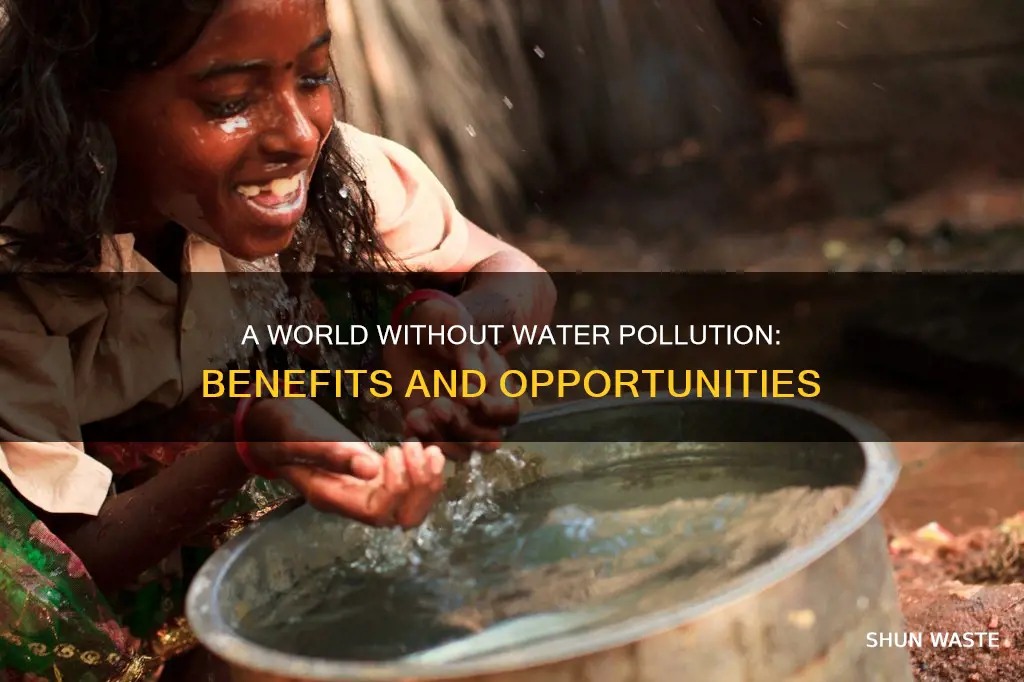 what if there was no water pollution
