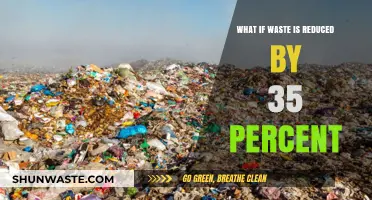 Reducing Waste by 35%: A Sustainable Future's Transformative Impact