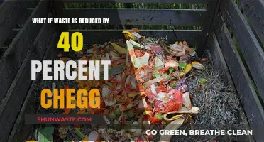 Reducing Waste by 40%: Environmental Impact and Sustainable Solutions
