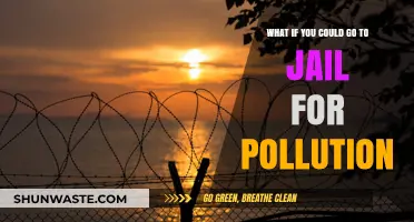 Pollution Punishments: Jail Time for Environmental Offenses?