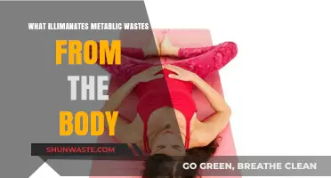 Detoxifying Naturally: How the Body Eliminates Metabolic Wastes Effectively
