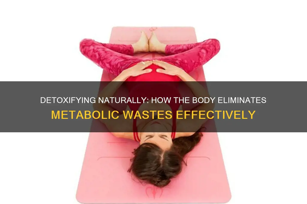 what illimanates metablic wastes from the body