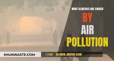 Air Pollution: The Silent Killer and Health Impact