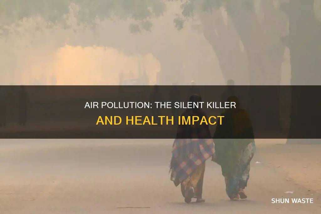 what illnesses are caused by air pollution