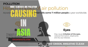 Pollution's Impact: Unveiling Asia's Growing Health Crisis