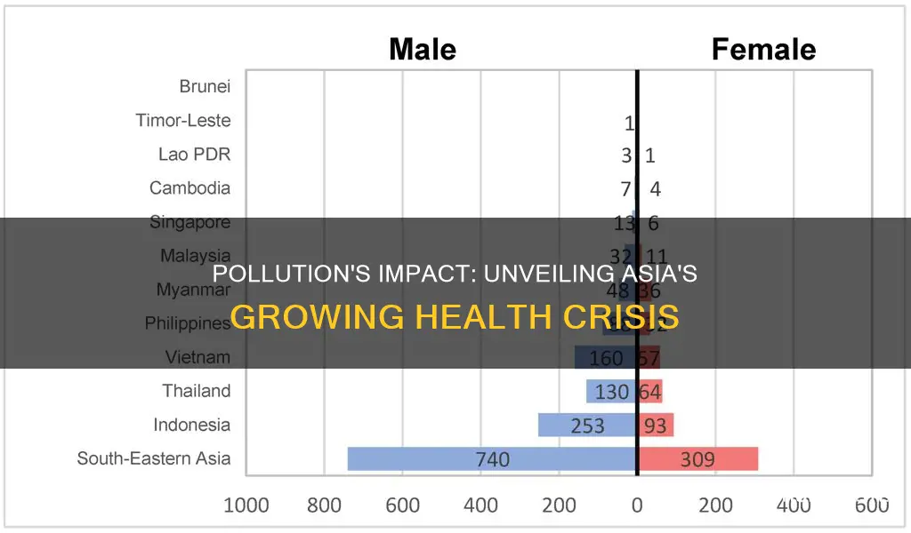 what illnesses are pollution causing in asia