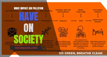 Air Pollution: Society's Slow Poisoning