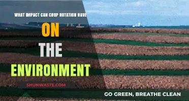 Crop Rotation: A Sustainable Practice for Environmental Health and Resilience
