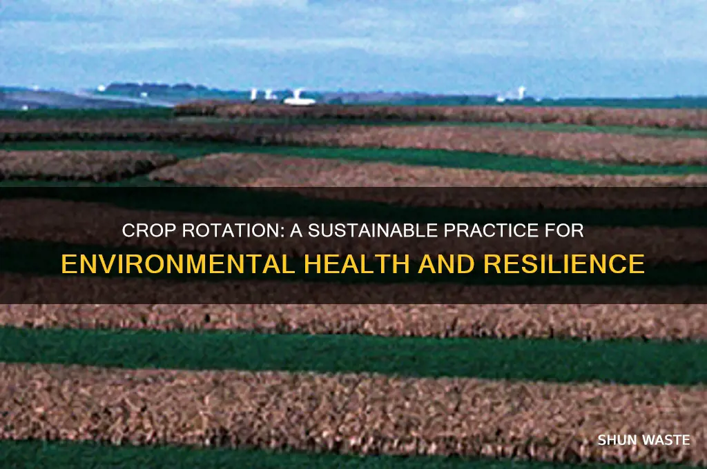 Crop Rotation: A Sustainable Practice For Environmental Health And ...