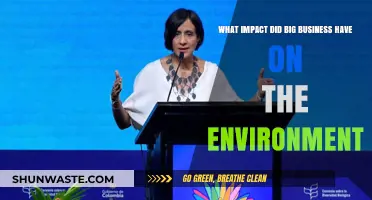 Big Business's Environmental Footprint: Consequences and Sustainability Challenges