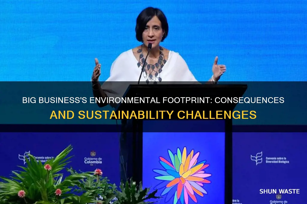 what impact did big business have on the environment