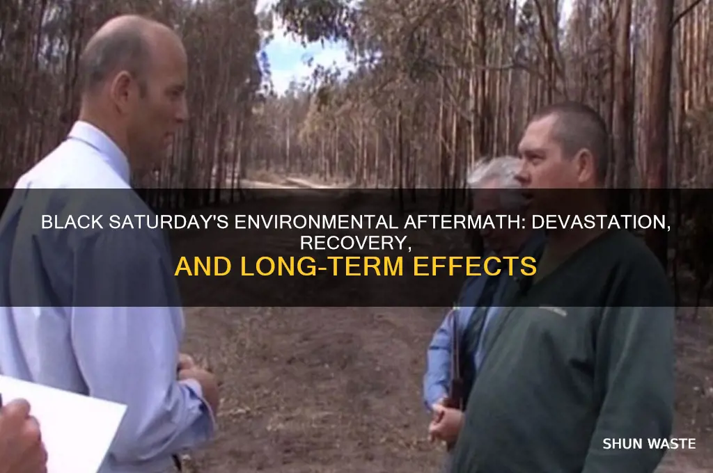 what impact did black saturday have on the environment