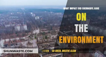 Chernobyl's Environmental Legacy: Long-Term Effects on Nature and Ecosystems