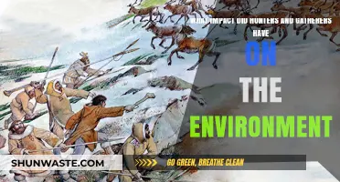 How Early Hunters and Gatherers Shaped Ecosystems and Environments