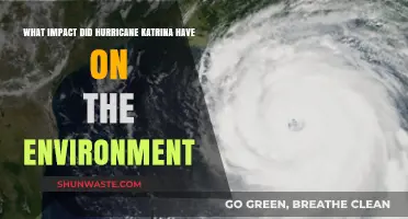 Hurricane Katrina's Environmental Aftermath: Devastation, Recovery, and Lasting Impacts