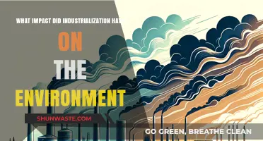 Industrialization's Environmental Toll: Pollution, Deforestation, and Climate Change