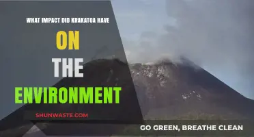 Krakatoa's Eruption: Environmental Aftermath and Global Ecological Consequences