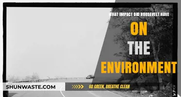 Roosevelt's Environmental Legacy: Conservation Policies and Lasting Impacts