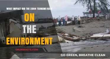 Tsunami's Environmental Aftermath: The 2004 Disaster's Lasting Ecological Impact
